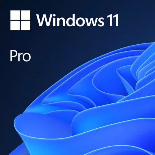 Microsoft Windows 11 Pro 64-bit